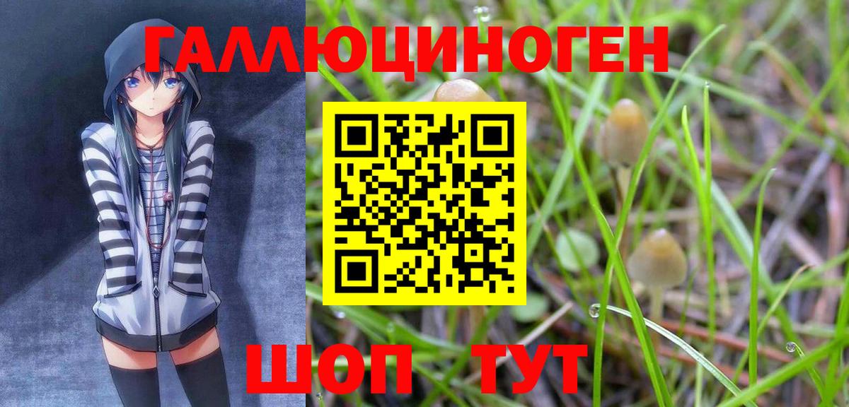 Псилоцибиновые грибы GOLDEN TEACHER Магадан